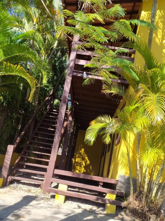 Hibiscos * Búzios